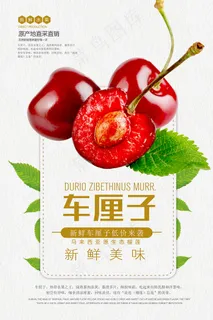 大气简约车厘子美食宣传海报
