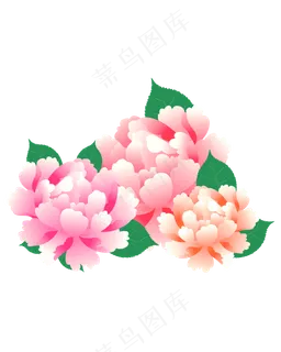 粉色的花朵 粉色的花朵