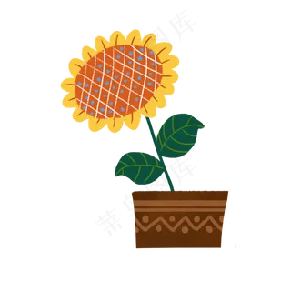 向日葵秋天盆栽