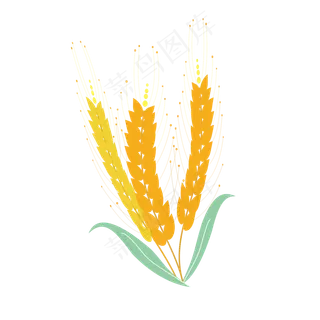 创意长须麦穗元素之秋天卡通金黄