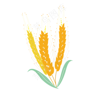 创意长须麦穗元素之秋天卡通金黄