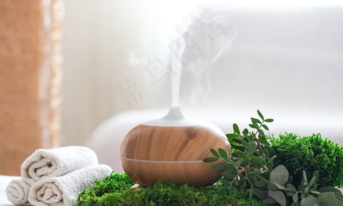 Spa成分带有现代精油扩散器和身体护理产品的香气