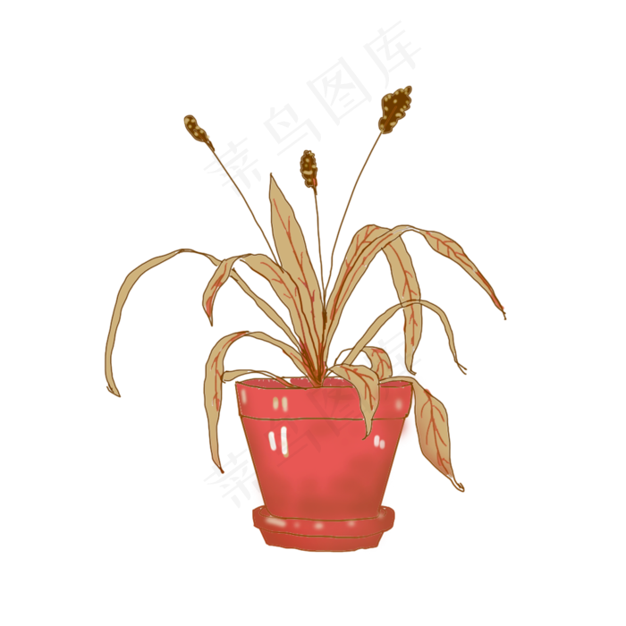 手绘枯萎植物素材透明底植物可商
