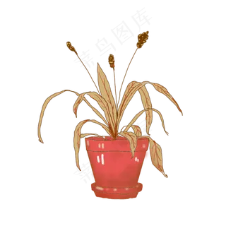 手绘枯萎植物素材透明底植物可商