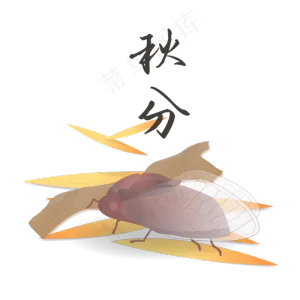 24节气秋分