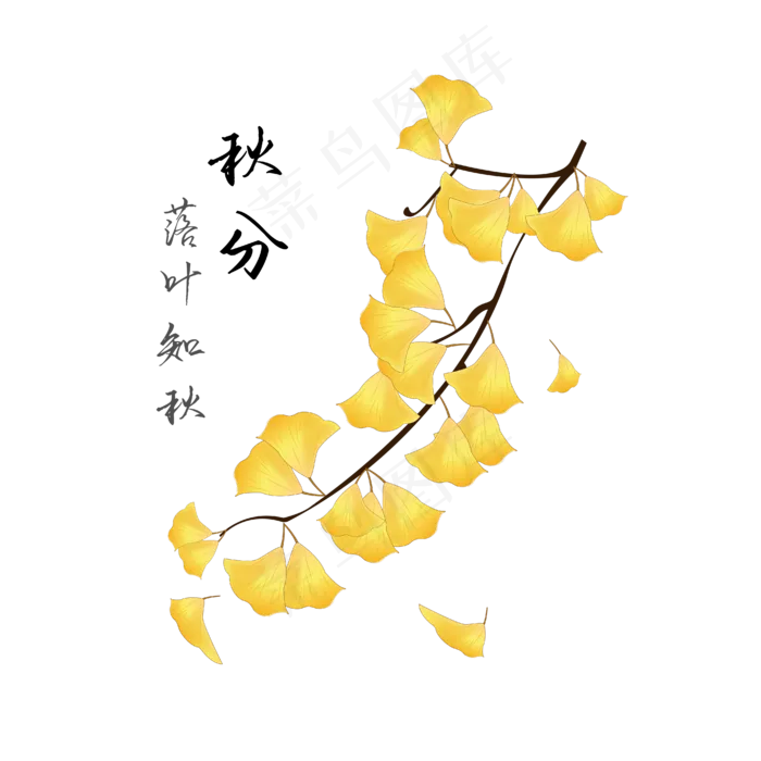 黄色的银杏树叶(4167*4167px 300 dpi )ai矢量模版下载