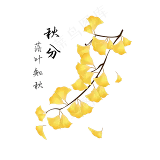 黄色的银杏树叶