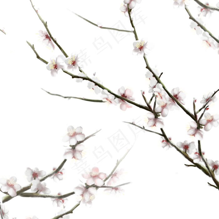 卡通手绘梅花免抠图(2000X2000(DPI:300))psd模版下载
