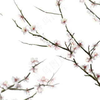 卡通手绘梅花免抠图