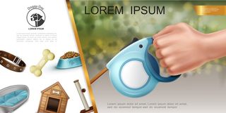 逼真的宠物护理组合，带手握皮带项圈，碗中有骨头食物，狗窝猫