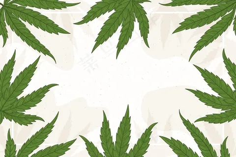 复制叶背景空间