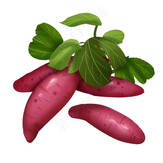 扁平风红薯插图装饰