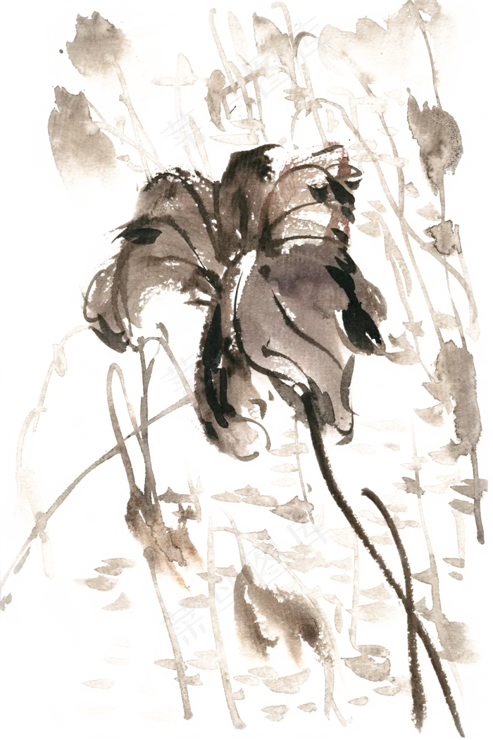 秋雨中的荷水彩画PNG免抠素材(1125X2436(DPI:72))psd模版下载