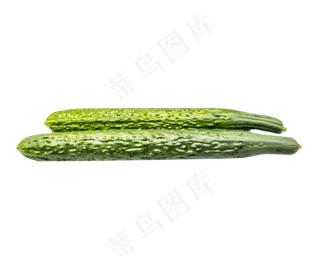绿色黄瓜