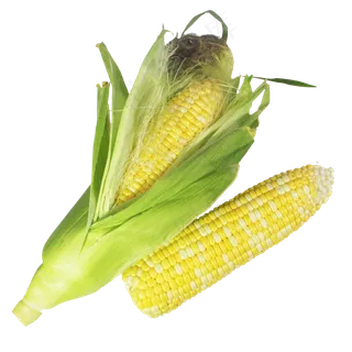 玉米苞蔬菜 玉米苞蔬菜