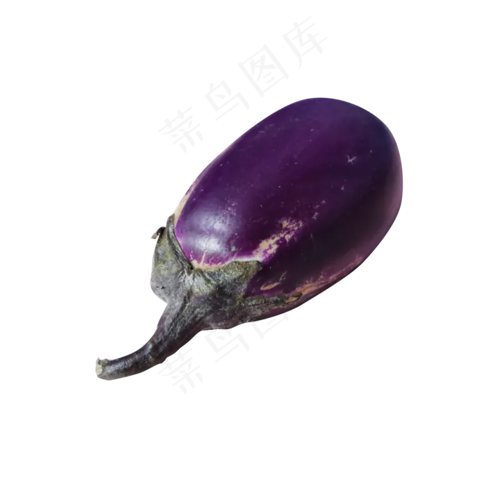 茄子斜侧面(2000X2000(DPI:300))
