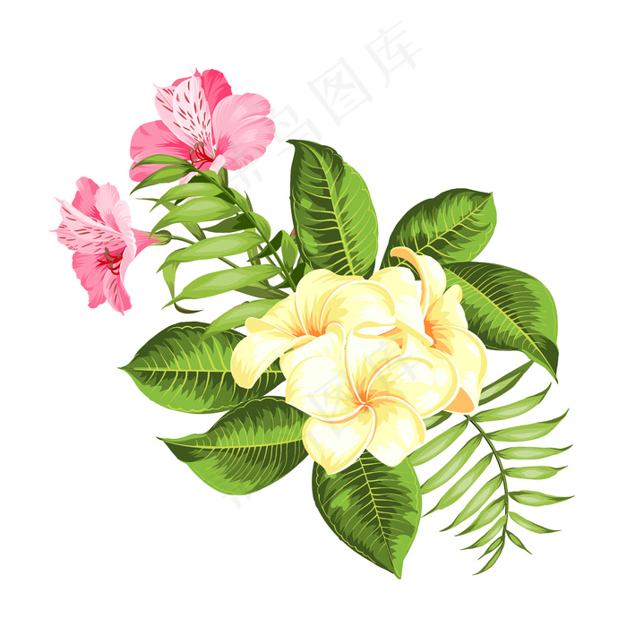 白色背景上的热带花。矢量插图。eps,ai矢量模版下载