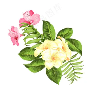 白色背景上的热带花。矢量插图。 白色背景上的热带花。矢量插图。