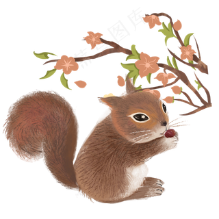 秋天动物吃果子松鼠素材