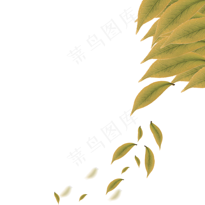 秋天落叶(2000X2000(DPI:300))psd模版下载