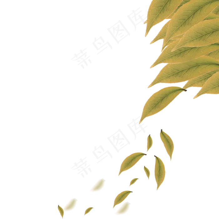 秋天落叶(2000X2000(DPI:300))psd模版下载