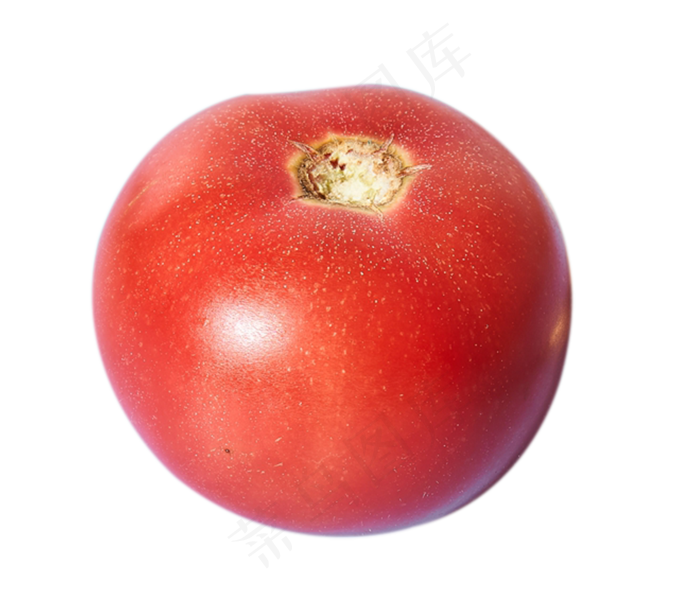 西红柿蔬菜(1193X1013(DPI:300))psd模版下载