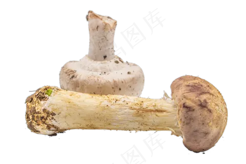 香菇蔬菜小吃 香菇蔬菜小吃