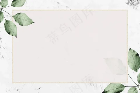 大理石纹理背景矢量上带有树叶图案的金框