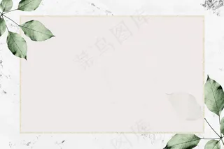 大理石纹理背景矢量上带有树叶图案的金框