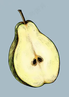 成熟的新切梨载体