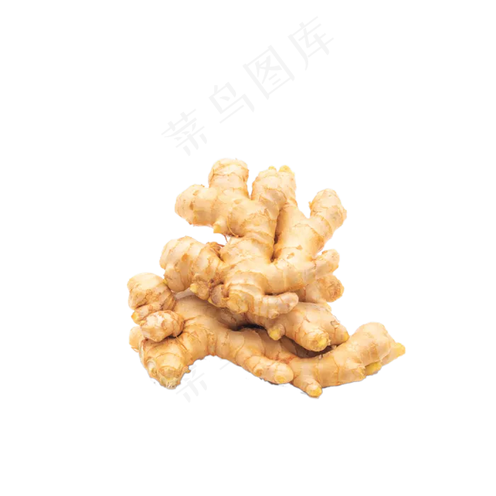 美味食材生姜(2000X2000(DPI:300))