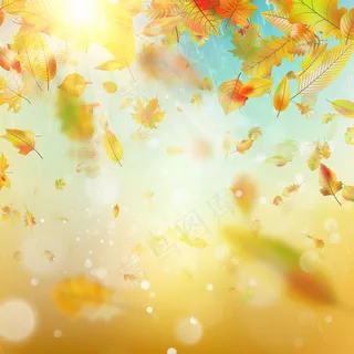 秋雨色彩斑斓，背景模糊。还包括