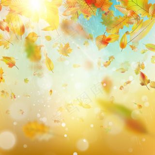 秋雨色彩斑斓，背景模糊。还包括