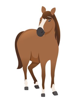 棕马野生或家养动物卡通设计平面矢量图