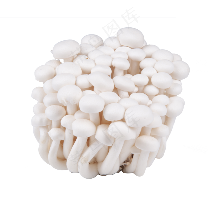 白色金针菇蔬菜
