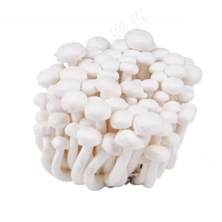 白色金针菇蔬菜