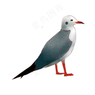 小鸟七夕情人节商用元素