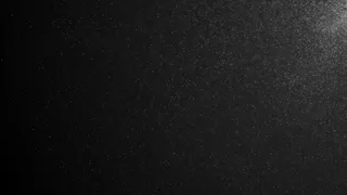 黑色背景上漂浮的天然有机粉尘颗粒