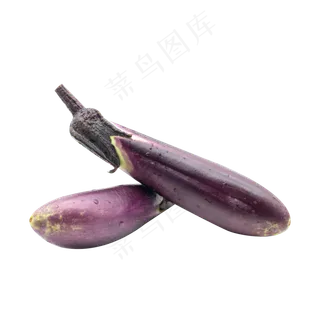 无公害蔬菜茄子