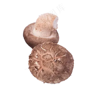 香菇(png免抠) 香菇(png免抠)