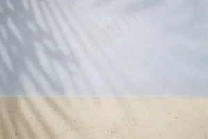 带热带叶影的两色墙