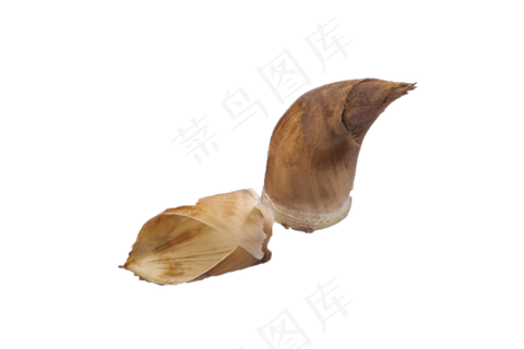 笋尖绿色野生竹笋