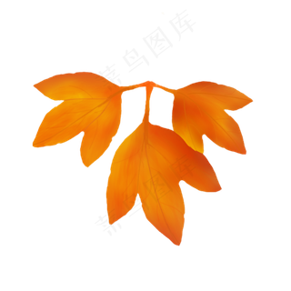 立秋金黄色系简约手绘枫叶