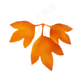 立秋金黄色系简约手绘枫叶