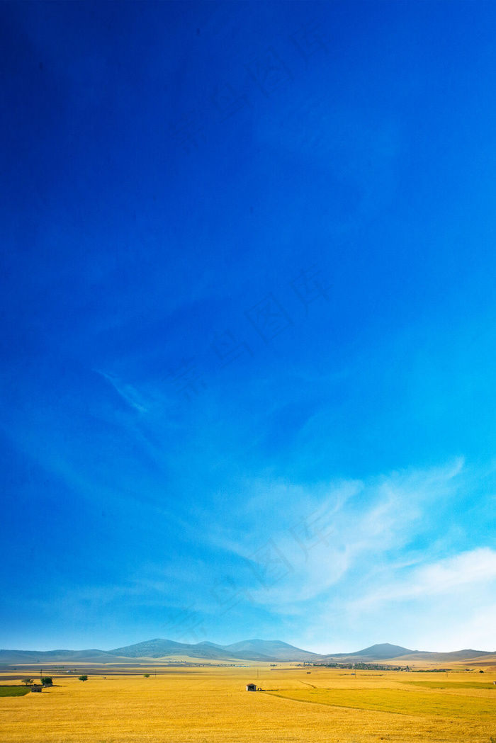 合成节气白露背景