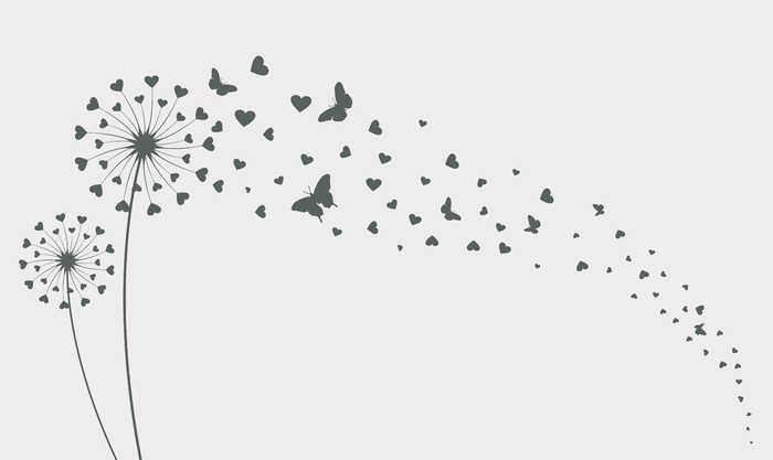 蒲公英与飞蝴蝶和种子矢量图