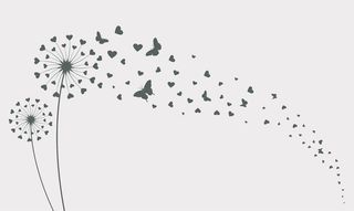 蒲公英与飞蝴蝶和种子矢量图