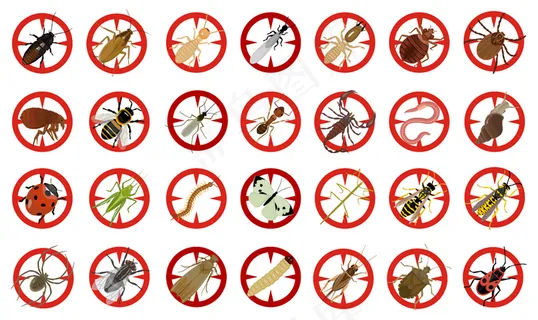 昆虫矢量动画集图标。矢量插图昆虫甲虫。孤立的卡通图标臭虫和苍蝇甲虫。 昆虫矢量动画集图标。矢量插图昆虫甲虫。孤立的卡通图标臭虫和苍蝇甲虫。