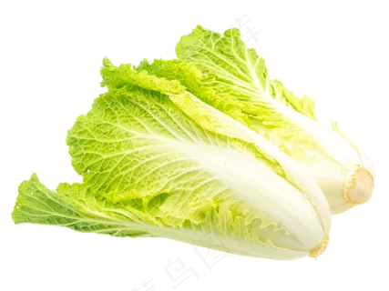 两个白菜蔬菜,免抠元素 两个白菜蔬菜,免抠元素