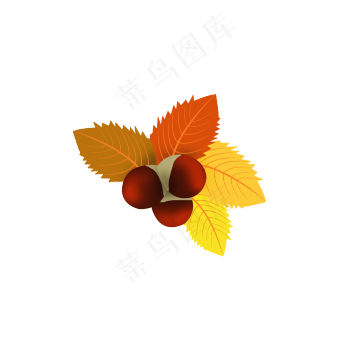 24节气之立秋植物